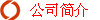 公司简介